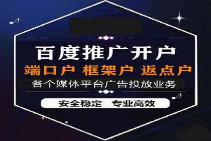 百度竞价排名案例分享：广告投放的技巧与误区